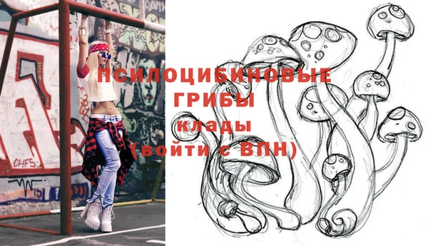 mdpv Рославль