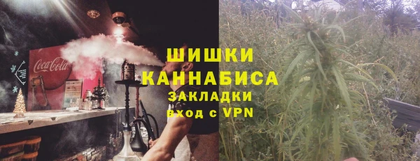 сатива Балабаново