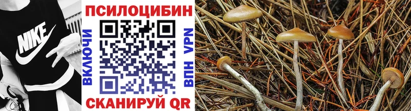 Псилоцибиновые грибы MAGIC MUSHROOMS  Печора 