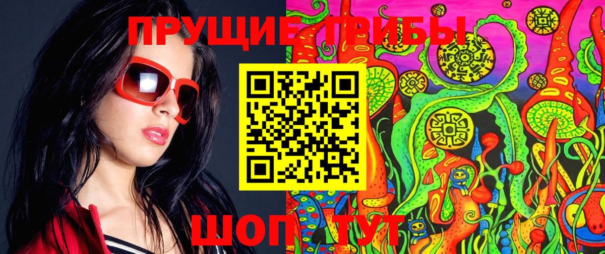 Псилоцибиновые грибы Psilocybine cubensis Печора