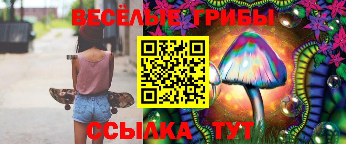 Печора  Галлюциногенные грибы Psilocybine cubensis  Вход с VPN 
